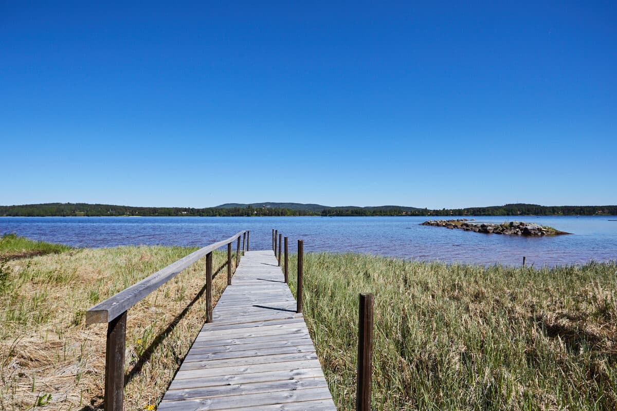 TUFF – Ekonomi / CSN